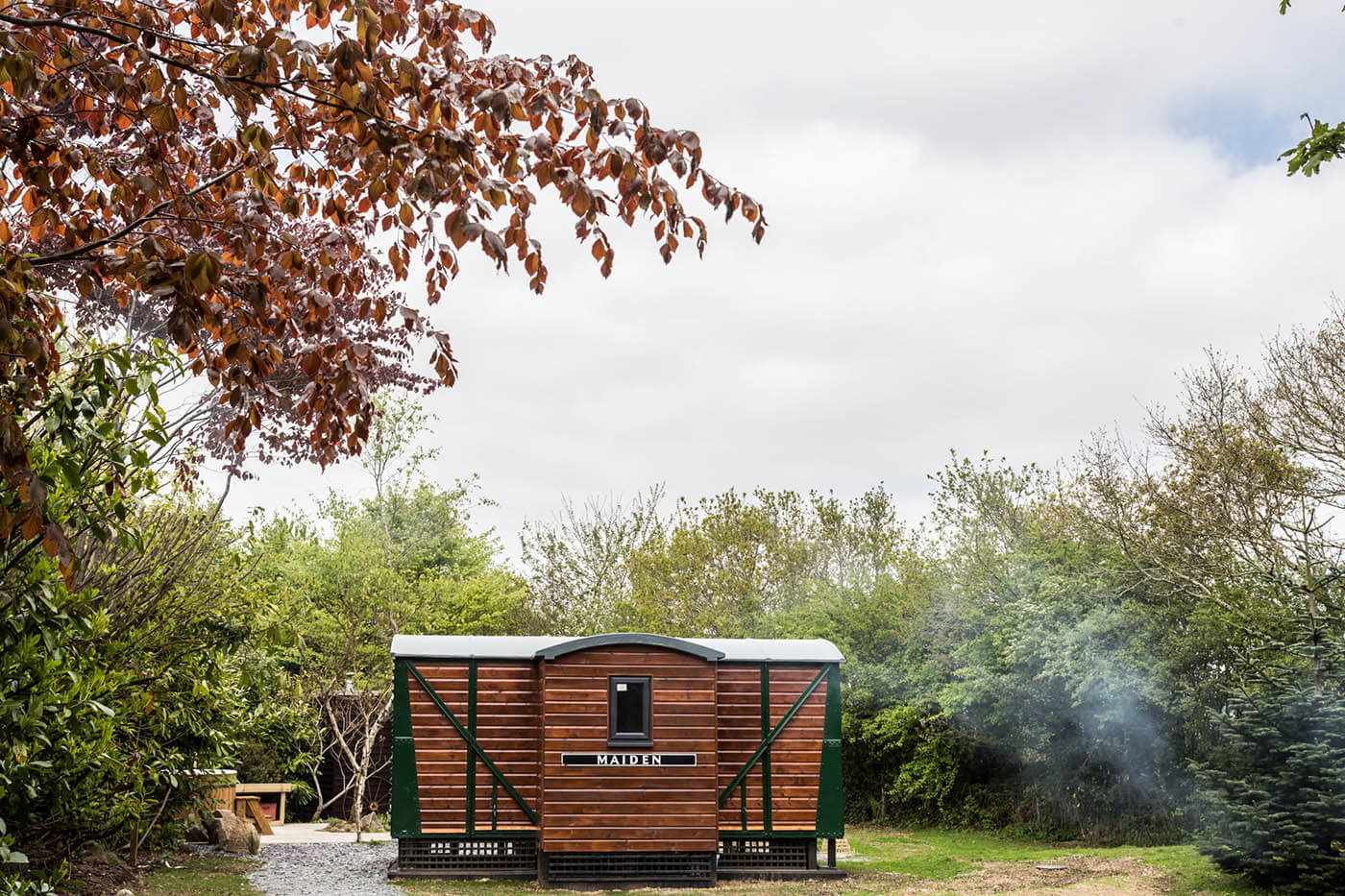 Maiden and Wisteria spring park cornwall